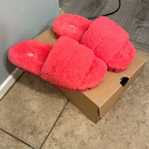 Brand new in box hot pink Ugg slippers